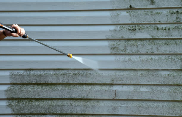 Best Roof Washing  in Royal City, WA